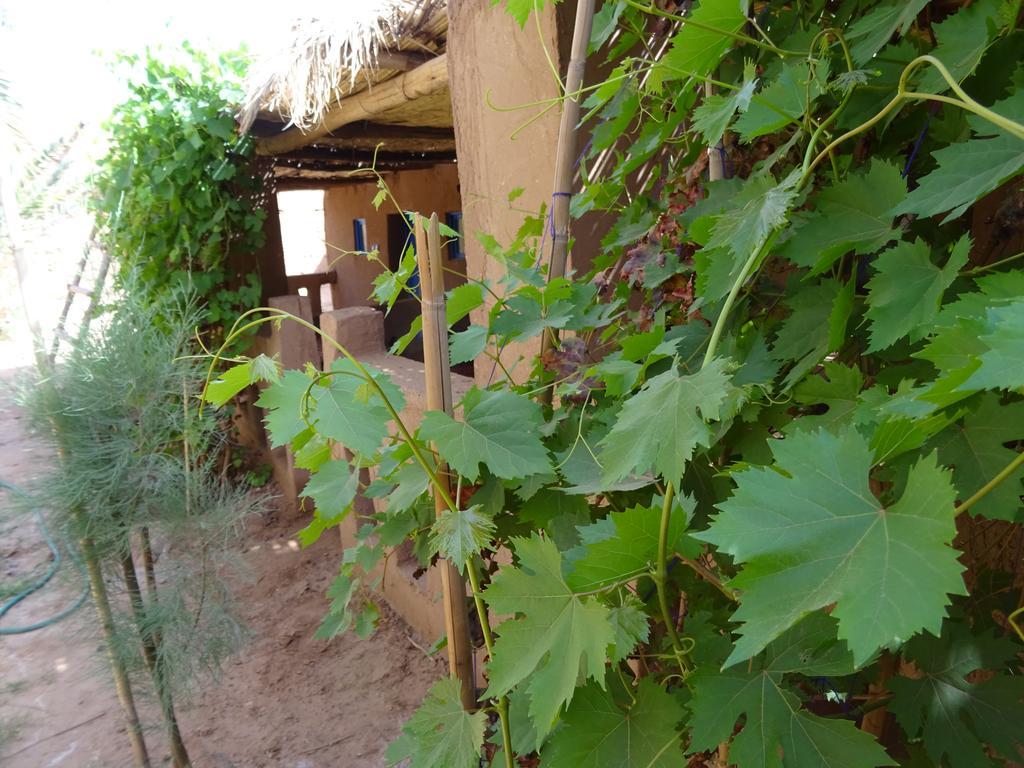Auberge Tigida M'Hamid Bagian luar foto